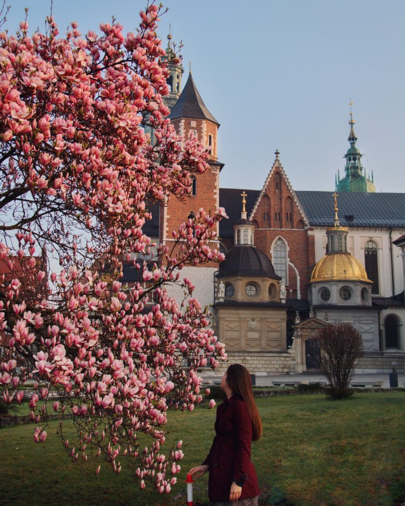 krakow-in-spring-flower-locations-photo-series-48-in-48